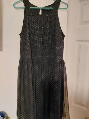 Sleeveless Black Polka Dot Mesh Dress